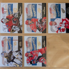 2009-10 UD Victory Suomalaisia Supertähtiä kaikki 20 korttia - pikkukuva 3