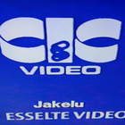 Ruoska Vhs Fix (Esselte. Eastwood) - pikkukuva 5