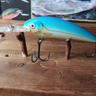Bagley Balsa Shad 7cm - pikkukuva 2