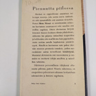 Risto Nivari : Pienuutta piilossa : aforismeja - pikkukuva 2