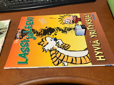 LASSI JA LEEVI HYVIÄ YRITYKSIÄ HYVÄ