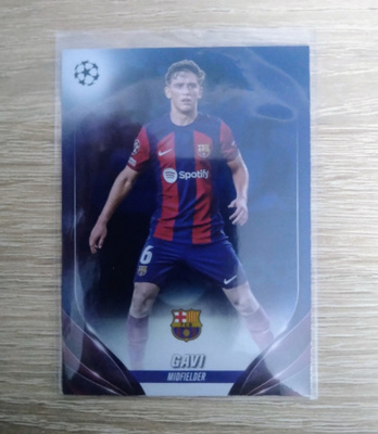 Gavi numeroitu 146/250