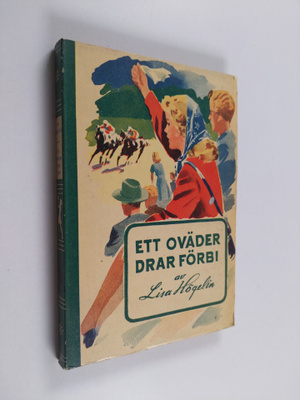 Lisa Högelin : Ett öväder drar förbi - roman för unga fli...