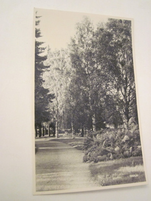 VANHA Postikortti Oulu 1950-l Alkup.Mallikappale