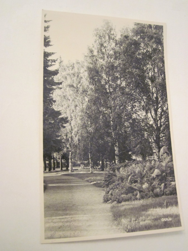 VANHA Postikortti Oulu 1950-l Alkup.Mallikappale