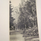VANHA Postikortti Oulu 1950-l Alkup.Mallikappale - pikkukuva 1