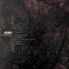 Band Of Horses – Everything All The Time - pikkukuva 3