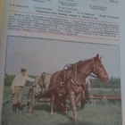 Pellervo No 27 syyskuu 1938 - pikkukuva 2