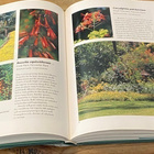 TROPICAL GARDEN PLANTS, William Warren - pikkukuva 5