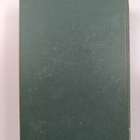 Erich Maria Remarque : Riemukaari - pikkukuva 2