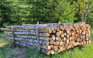 Polttopuuta kuvan kasa, koivua