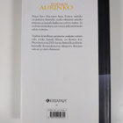 Eero Huovinen : Toinen aurinko - pikkukuva 2
