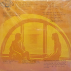 IAN A. ANDERSON - A VULTURE IS NOT A BIRD YOU CAN TRUST - LP - pikkukuva 2