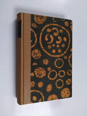 Sinclair Lewis : Jobbet