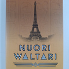 Ville Eerola : Nuori Waltari : romaani - pikkukuva 1