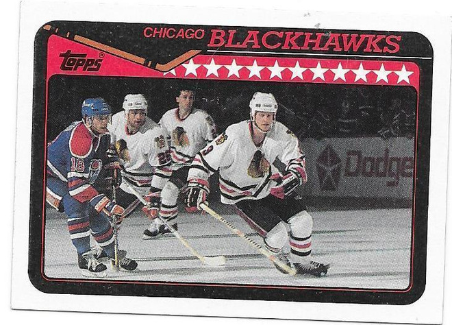 1990-91 Topps TeamCard #363 Chicago Blackhawks