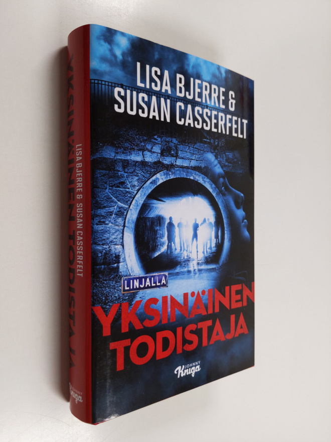 Lisa Bjerre : Yksinäinen todistaja