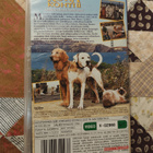 Kotia Kohti II Seikkailu San Franciscossa (VHS) - pikkukuva 2