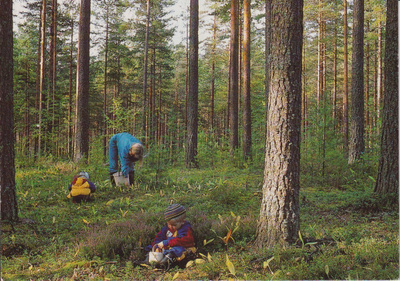 Tuusula: Ruotsinkylä