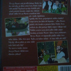 Viiru ja Pesonen - Viirun syntymäpäivä - DVD - pikkukuva 2