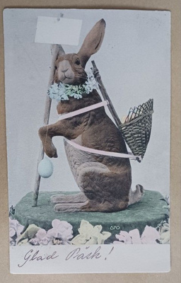 Pupu kori selässä, lemmikkiseppele kaulassa, muna, p. 1903