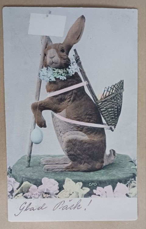Pupu kori selässä, lemmikkiseppele kaulassa, muna, p. 1903