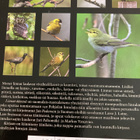 LINNUT ÄÄNESSÄ - 150 Pohjolan lintulajia äänineen - pikkukuva 2