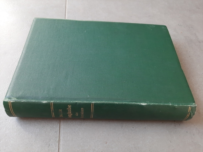 Meyer: Der Aberglaube des Mittelalters... (v. 1884)