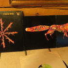 fox lp: for fox sake vol 1. 1970 usa. - pikkukuva 1