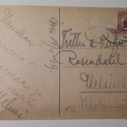 Kukko-opettaja opettaa tipuja kiekumaan, p. 1919 - pikkukuva 2