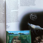 2002 Postimerkkivuosi - postituoreet merkit - pikkukuva 5