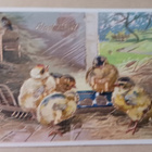 Tiput ihmettelevät koristeltuja munia kanalassa, p. 1919 - pikkukuva 1