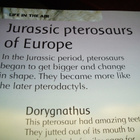 MY FIRST DINOSAUR ENCYCLOPEDIA English - pikkukuva 4