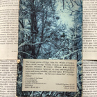 The Portable Poe (paperback) - pikkukuva 2