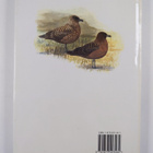 Hans Larsson ym. : Skuas and Jaegers - A Guide to the Sku... - pikkukuva 2