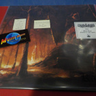 KALMANKANTAJA - KASKI M-/M- LP - pikkukuva 1