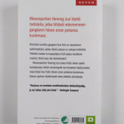 Thomas Enger : Aavekipu - pikkukuva 2