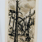 Tapio Haili 1927-1986 - pikkukuva 4