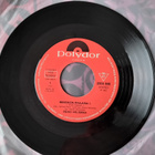 REINO HELISMAA 7”:Meksikon pikajuna 1 ja 2, 2055 088 POLYDOR - pikkukuva 1