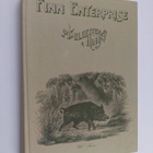 Finn enterprise 1994-1995 aseluettelo ja hinnasto - pikkukuva 1