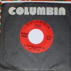 7" ELOISE LAWS - I'd Do It All Again - single 1968 EX+ - pikkukuva 1