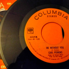 Carl Perkins sinkku - pikkukuva 1