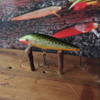 Rapala Countdown 7cm - pikkukuva 2