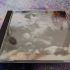Ministry - The Land Of Rape And Honey (CD) - pikkukuva 1