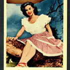 Keräilykuva - Susan Hayward Nr 695 - pikkukuva 1