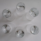 Tapio juomalasit, Tapio Wirkkala, Iittala - pikkukuva 4