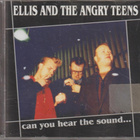 ELLIS AND THE ANGRY TEENS - Can You Hear the Sound... - pikkukuva 1