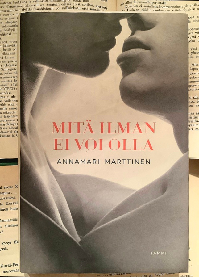 Annamari Marttinen - Mitä ilman ei voi olla (sid.)