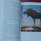 Kungliga sagoboken. Ill. av.  John Bauer m.fl. - pikkukuva 1