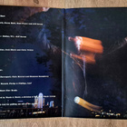 Paul Cauthen: Room 41. Lp - pikkukuva 2